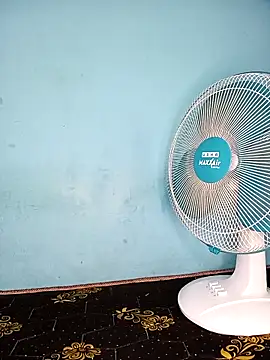 Deepa telugu online show from March 2026 07:22:02 AM