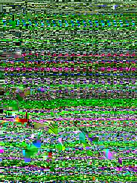 Dev2k22 online show from December 2025 06:14:01 PM