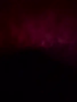 bpn56 online show from January 2026 05:04:01 PM