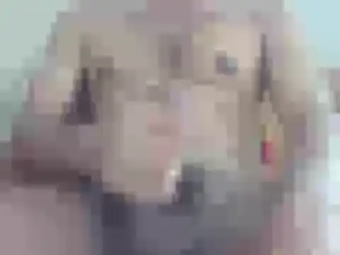 nick2445 online show from April 2026 09:24:01 AM