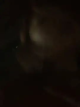 Lara-11 online show from February 2026 06:43:02 AM