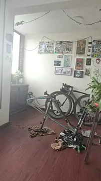 Neciaa online show from April 2026 09:15:01 PM