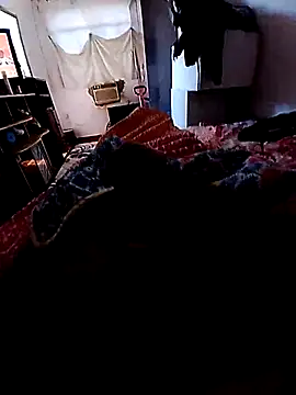 pequenohomem online show from June 2026 01:31:01 PM
