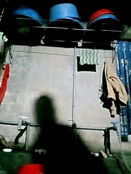 Noelle-e online show from March 2026 11:52:02 PM