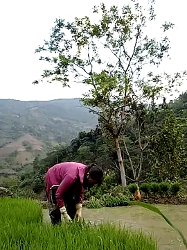 Noelle-e online show from April 2026 10:41:02 AM