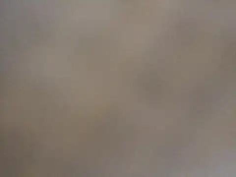 BLACKSUNNYBBC online show from April 2026 10:18:01 AM