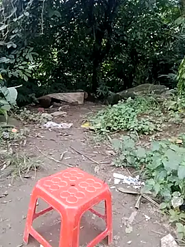 doggy-00 online show from July 2026 11:30:02 AM