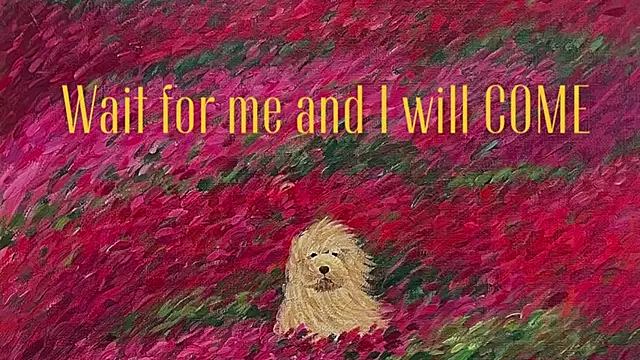 girl u never met online show from May 2026 05:20:02 PM