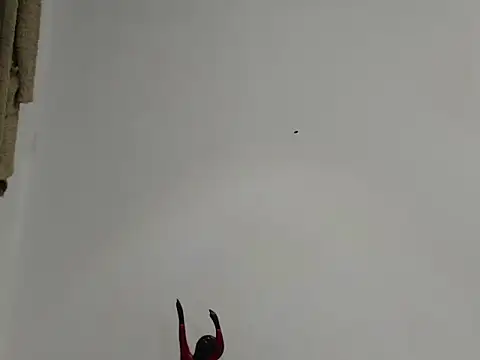 EmmilyConnor online show from February 2026 01:43:01 PM