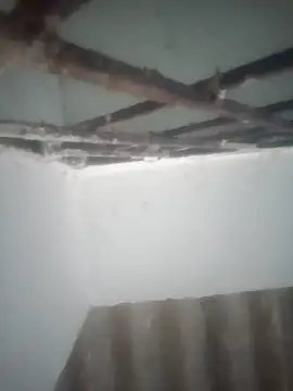 Pallu Asha online show from March 2026 12:58:02 AM