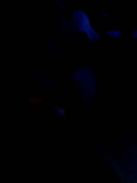 KARNEs24666 online show from November 2025 09:31:01 AM