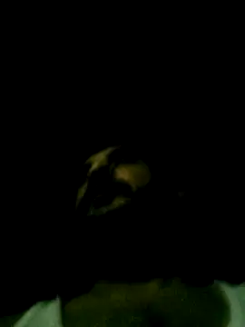 Yerackhip online show from March 2026 07:46:02 AM