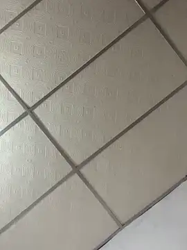 meliodas 23cm online show from March 2026 04:40:02 AM