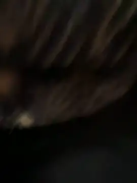 caramello-48888 online show from April 2026 05:24:01 PM