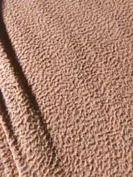 Snapshot of WillfulVideo chatting on February 2026 08:07:01 AM WillfulVideo online show from February 2026 08:07:01 AM