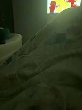 Snapshot of simeonehivd chatting on March 2026 11:44:02 PM simeonehivd online show from March 2026 11:44:02 PM