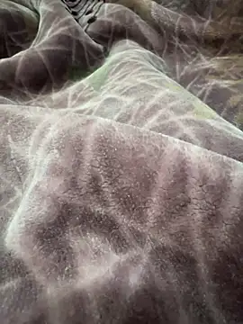 Afganiboy online show from February 2026 01:50:02 PM