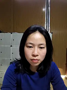 Cat-meow online show from March 2026 08:16:01 AM