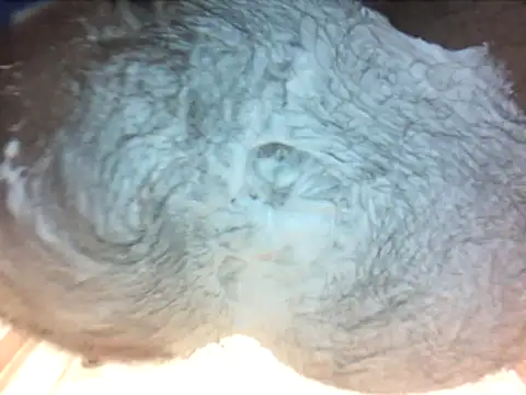 Snapshot of holy1996 chatting on March 2026 06:40:01 PM holy1996 online show from March 2026 06:40:01 PM