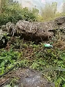 Pampirara online show from March 2026 08:53:02 AM