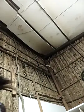 Lin-kute98 online show from February 2026 01:06:02 PM