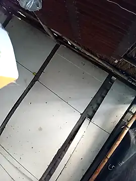 Lin-kute98 online show from March 2026 02:36:02 AM