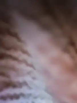 Punam panjabi online show from February 2026 07:53:02 AM