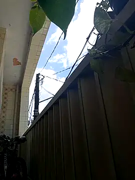 wakahoe online show from April 2026 01:33:02 PM