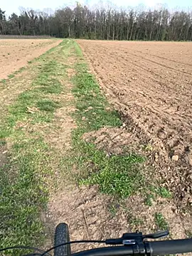 marconordic online show from March 2026 03:04:02 PM