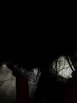 01dasmulher online show from January 2026 02:43:01 PM