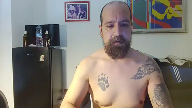 AMIRDIB2025 online show from June 2026 11:54:02 AM