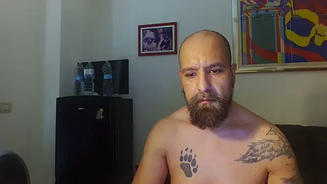 AMIRDIB2025 online show from July 2026 02:01:01 PM