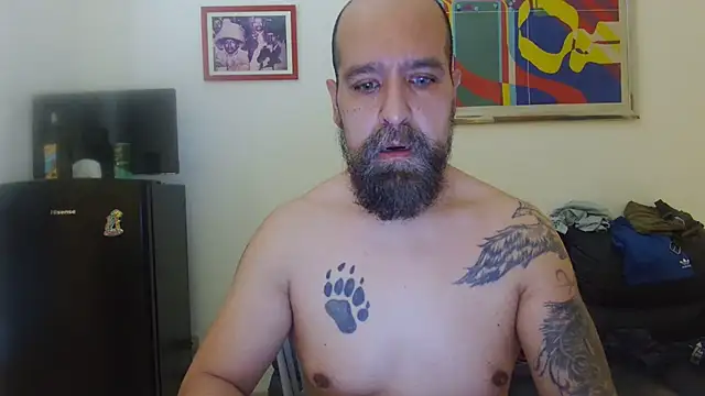 AMIRDIB2025 online show from July 2026 12:08:01 PM