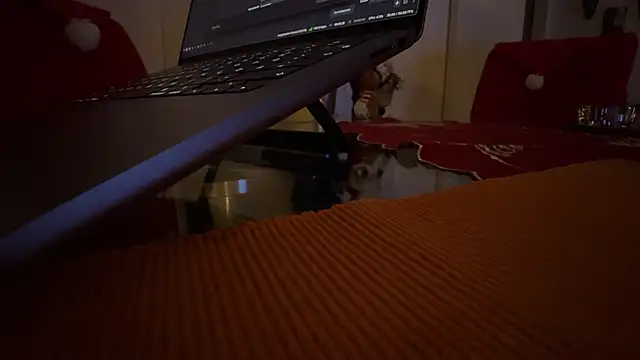 Snapshot of AndyLD20x6 chatting on December 2025 11:14:02 PM AndyLD20x6 online show from December 2025 11:14:02 PM