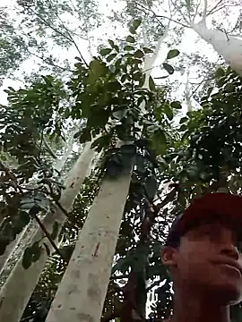 Negok1ng17cm online show from December 2025 02:45:02 PM