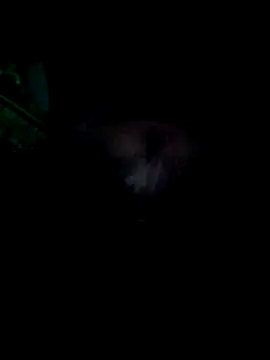 KF hway online show from March 2026 11:11:02 PM