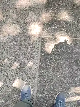 boyfromMum bai online show from March 2026 06:51:02 AM