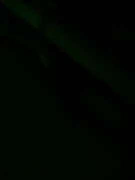 zoodangermind online show from May 2026 12:08:02 AM