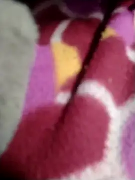 Lovely priya1001 online show from January 2026 04:33:02 PM