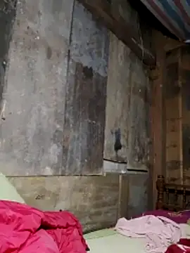  CTMay 77 online show from March 2026 10:03:02 PM