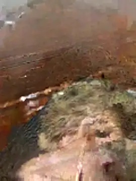 katiyvy online show from February 2026 07:10:01 PM