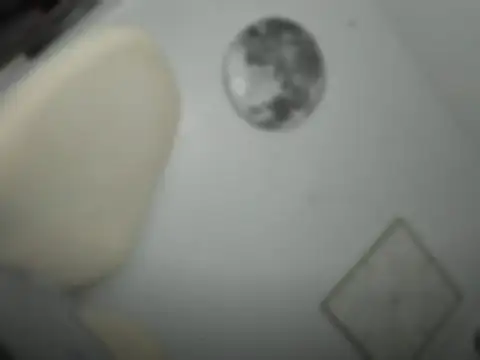 mxshemale ladyboy online show from March 2026 05:29:01 PM