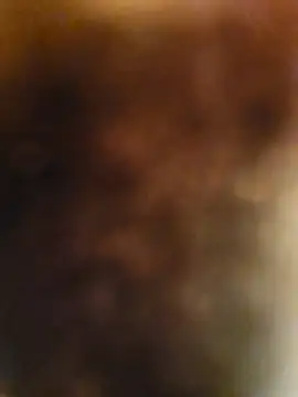 sweets danshi online show from March 2026 01:20:02 AM