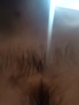 bnglrboy0886 online show from February 2026 12:14:02 AM