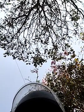 bnglrboy0886 online show from March 2026 10:01:01 AM