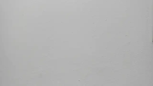 ariloe quintero online show from March 2026 01:34:01 PM