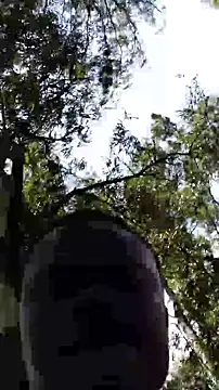 TheVersCouple online show from January 2026 11:26:02 AM