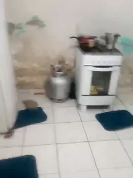 xxxxbucetuda  online show from December 2025 10:44:02 AM