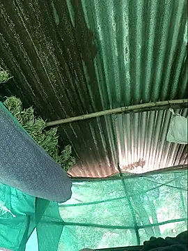 Hot2602 online show from April 2026 06:07:02 AM