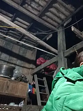 dakota-kis online show from February 2026 11:53:02 AM